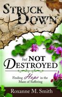 Struck Down; But Not Destroyed: Finding Hope in the Maze of Suffering 1934363170 Book Cover
