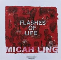 Flashes of Life 099649491X Book Cover