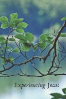 Experiencing Jesus 1093796545 Book Cover