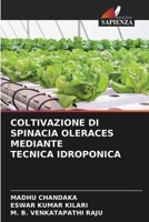 Coltivazione Di Spinacia Oleraces Mediante Tecnica Idroponica 6205675145 Book Cover