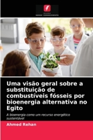 Uma visão geral sobre a substituição de combustíveis fósseis por bioenergia alternativa no Egito 620314844X Book Cover