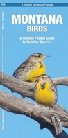 Montana Birds: A Folding Pocket Guide to Familiar Species 1583551115 Book Cover