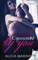 Consumed By You 1640343970 Book Cover