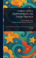 Three Little Trippertrots on Their Travels 1025236041 Book Cover