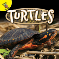 Turtles 1683421574 Book Cover