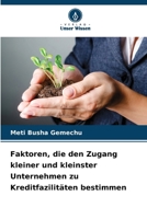Faktoren, die den Zugang kleiner und kleinster Unternehmen zu Kreditfazilitäten bestimmen (German Edition) 6209416659 Book Cover
