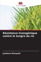 Résistance transgénique contre le tungro du riz 6209066194 Book Cover
