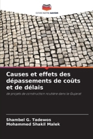 Causes et effets des dépassements de coûts et de délais (French Edition) 6208149916 Book Cover