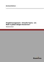 Projektmanagement - Virtuelle Teams - ein Muß in global tätigen Konzernen? 3869433345 Book Cover