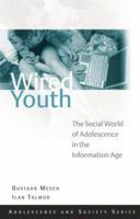 Wired Youth: The Social World of Adolescence in the Information Age 041545994X Book Cover