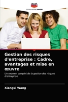 Gestion des risques d'entreprise: Cadre, avantages et mise en oeuvre 6203253448 Book Cover