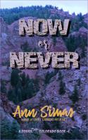 NOW OR NEVER: 1734725575 Book Cover