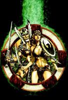 The Warlord: The Saga 1401226515 Book Cover
