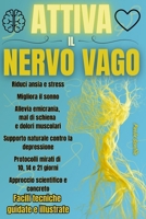 Attiva il Nervo Vago: Esercizi pratici per ridurre ansia e stress, migliorare il sonno, alleviare depressione, dolori muscolari, emicrania e mal di schiena (Italian Edition) B0FS8Z25BY Book Cover