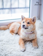 My Journal: Wide Lined Notebook With Blank Sketch Pages Included For All Dog & Pet Lovers 1708339353 Book Cover