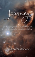 Journey: A psychedelic sojourn that deepened the author's healing work with wounded warriors and others scarred by trauma 1706180683 Book Cover