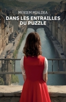 Dans les entrailles du puzzle (French Edition) B0C2GWLLS3 Book Cover