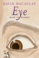 Eye: How It Works