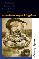 American Sugar Kingdom: The Plantation Economy of the Spanish Caribbean, 1898-1934 0807847887 Book Cover