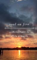 soul on fire: a collection of poetry about love, loss, & everything in between. 1979937230 Book Cover