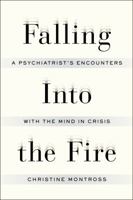 Falling into the Fire 1594203938 Book Cover