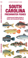 South Carolina Freshwater Fishes: A Waterproof Folding Guide to Familiar Species 1620055600 Book Cover