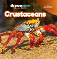 Crustaceans 1641903503 Book Cover