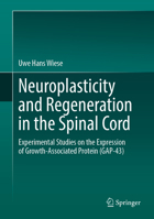 Neuroplasticity and Regeneration in the Spinal Cord: Experimental Studies on the Expression of Growth-Associated Protein (GAP-43) 3032341388 Book Cover