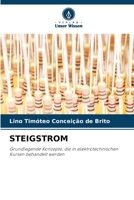 STEIGSTROM: Grundlegende Konzepte, die in elektrotechnischen Kursen behandelt werden 6206033600 Book Cover