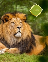 2020 Planner: New years goal oriented organiser calendar for african lion lovers Monthly and weekly planning sections, goals, to do lists, recaps and organising pages large jungle cat cover 1676489339 Book Cover