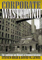 Corporate Wasteland: The Landscape and Memory of Deindustrialization 0801474019 Book Cover