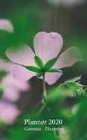 Planner 2020 Gennaio - Dicembre: Agenda mensile e settimanale A partire dal 1 gennaio al 31 dicembre 2020, copre i calendari per il 2019, 2020, 2021, ... (Copertina Fiore Violetta) (Italian Edition) 1674434502 Book Cover