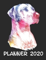 Planner 2020: Planner Weekly and Monthly for 2020 Calendar Business Planners Organizer For To do list 8,5 x 11 with Rhodesian Ridgeback Dog Lover 1708178554 Book Cover