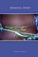 Mindful Spirit 148011975X Book Cover