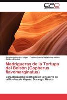 Madrigueras de la Tortuga del Bolsón (Gopherus flavomarginatus): Caracterización Ecológica en la Reserva de la Biosfera de Mapimí, Durango, México 3848473313 Book Cover