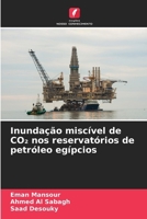 Inundação miscível de CO2 nos reservatórios de petróleo egípcios (Portuguese Edition) 6207585062 Book Cover
