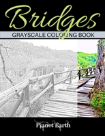 Bridges Grayscale Coloring Book: Beautiful Bridges in the Forest. Grayscale Coloring Book for Adults. B083XWMH2W Book Cover