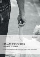 Herausforderungen junger Eltern. Unterstützungsmöglichkeiten für die Familie beim ersten Kind 3956875451 Book Cover