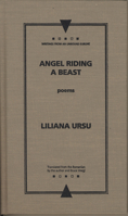 Angel Riding a Beast 0810116596 Book Cover