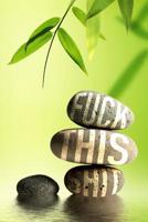 Fuck This Shit: Sarcastic Zen Style Notepad - Funny Adult Humor For Yoga/Meditation Lover - 6 x 9 in with 125 Lined Pages 1099607310 Book Cover