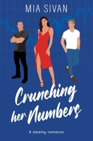 Crunching her Numbers: A Steamy Romance (Women of Tel Aviv) B0CH2P8Q28 Book Cover