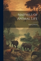 Marvels of Animal Life 1376591499 Book Cover