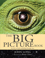 The Big Picture Book 1741143284 Book Cover