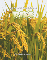 Rice B0GMZHC25W Book Cover