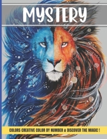 Mystery colors creative color by number & discover magic: Large Print Stress Relieving Patterns Color by Number Adult Coloring Book Mystery Color B09SNV8G35 Book Cover