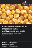 Effetto della densità di impianto sulla coltivazione del mais (Italian Edition) 6208193788 Book Cover