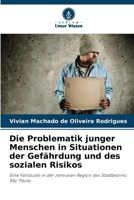 Die Problematik junger Menschen in Situationen der Gefährdung und des sozialen Risikos (German Edition) 6208226031 Book Cover