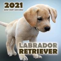 Labrador Retriever 2021 Mini Wall Calendar 1713902265 Book Cover