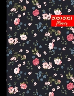 2020-2021 Planner: Pretty Jan 2020 - Dec 2021 2 Year Daily Weekly Monthly Calendar Planner with To Do List Schedule Agenda 1695830857 Book Cover