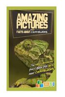 Amazing Pictures and Facts about Chameleons: The Most Amazing Fact Book for Kids about Chameleons 1541257375 Book Cover
